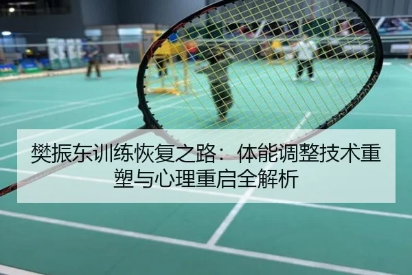 樊振东训练恢复之路：体能调整技术重塑与心理重启全解析