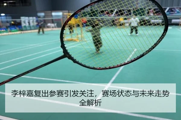 李梓嘉复出参赛引发关注，赛场状态与未来走势全解析