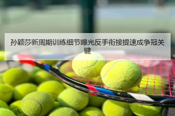 孙颖莎新周期训练细节曝光反手衔接提速成争冠关键